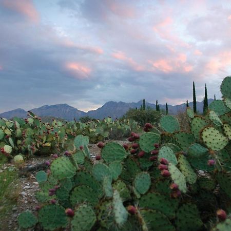 Canyon Ranch Tucson Mount Lemmont Екстериор снимка