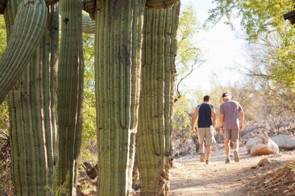 Canyon Ranch Tucson Mount Lemmont Екстериор снимка