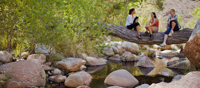 Canyon Ranch Tucson Mount Lemmont Екстериор снимка